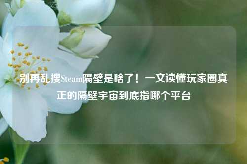 别再乱搜Steam隔壁是啥了!一文读懂玩家圈真正的隔壁宇宙到底指哪个平台