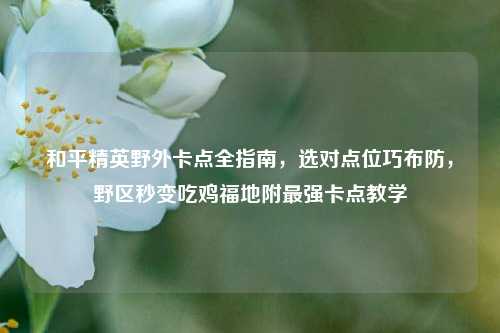 和平精英野外卡点全指南，选对点位巧布防，野区秒变吃鸡福地附最强卡点教学