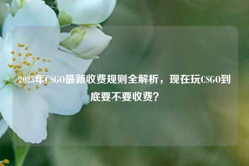 2025年CSGO最新收费规则全解析,现在玩CSGO到底要不要收费?