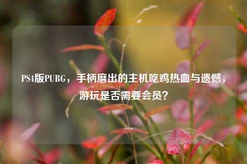 PS4版PUBG,手柄磨出的主机吃鸡热血与遗憾,游玩是否需要会员?
