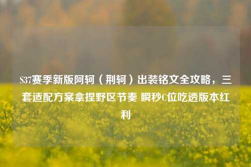 S37赛季新版阿轲(荆轲)出装铭文全攻略,三套适配方案拿捏野区节奏 瞬秒C位吃透版本红利