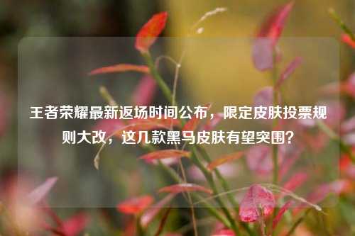 王者荣耀最新返场时间公布,限定皮肤投票规则大改,这几款黑马皮肤有望突围?