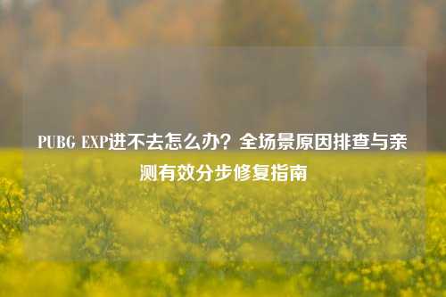 PUBG EXP进不去怎么办?全场景原因排查与亲测有效分步修复指南