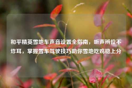 和平精英雪地车声音设置全指南，听声辨位不炸耳，掌握雪车驾驶技巧助你雪地吃鸡稳上分