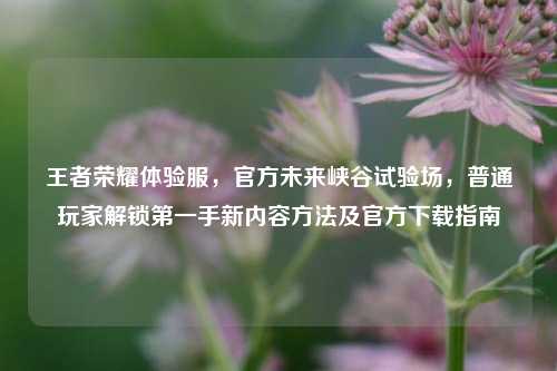 王者荣耀体验服,官方未来峡谷试验场,普通玩家解锁第一手新内容方法及官方下载指南