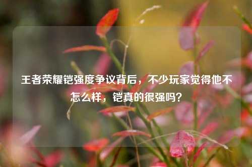 王者荣耀铠强度争议背后,不少玩家觉得他不怎么样,铠真的很强吗?
