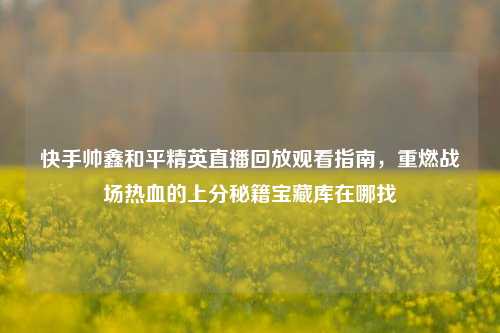 快手帅鑫和平精英直播回放观看指南,重燃战场热血的上分秘籍宝藏库在哪找