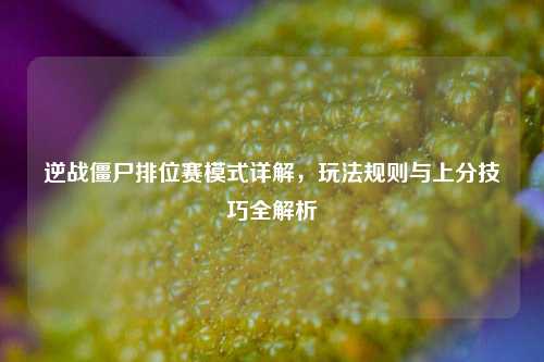 逆战僵尸排位赛模式详解,玩法规则与上分技巧全解析