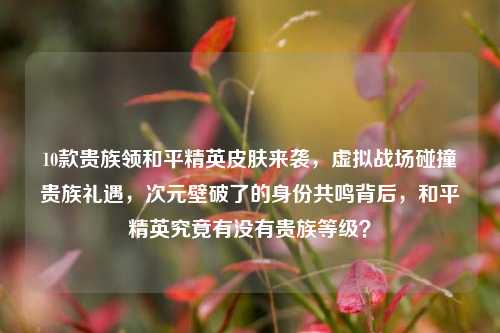 10款贵族领和平精英皮肤来袭,虚拟战场碰撞贵族礼遇,次元壁破了的身份共鸣背后,和平精英究竟有没有贵族等级?