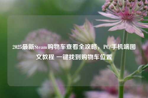2025最新Steam购物车查看全攻略,PC/手机端图文教程 一键找到购物车位置