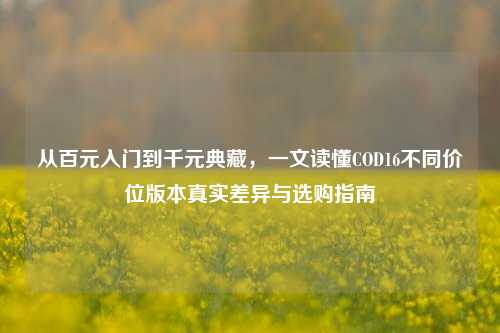 从百元入门到千元典藏,一文读懂COD16不同价位版本真实差异与选购指南