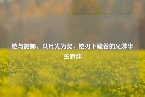 铠与露娜,以月光为契,铠刃下藏着的兄妹半生羁绊