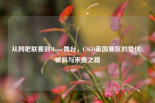 从网吧联赛到Major舞台,CSGO英国赛区的蛰伏、破局与未竟之路