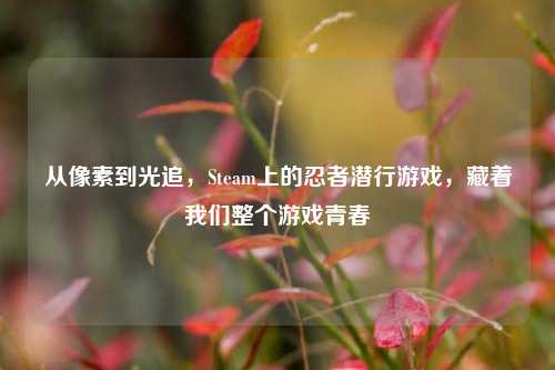 从像素到光追,Steam上的忍者潜行游戏,藏着我们整个游戏青春