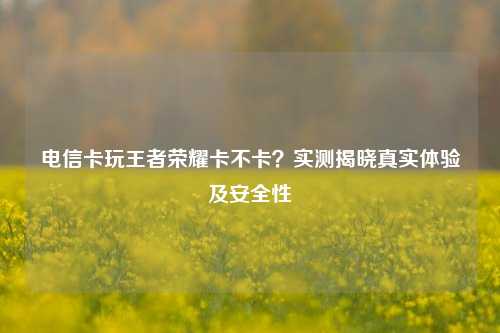 电信卡玩王者荣耀卡不卡?实测揭晓真实体验及安全性