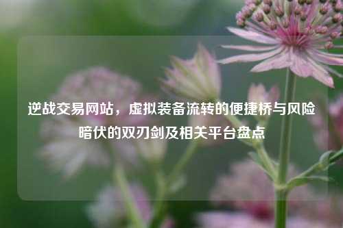 逆战交易网站,虚拟装备流转的便捷桥与风险暗伏的双刃剑及相关平台盘点