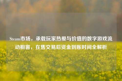 Steam市场，承载玩家热爱与价值的数字游戏流动橱窗，在售交易后资金到账时间全解析