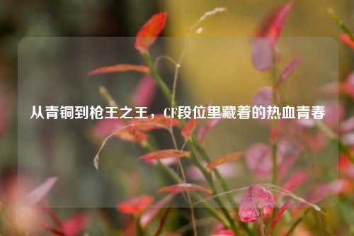 从青铜到枪王之王,CF段位里藏着的热血青春