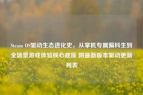 Steam OS驱动生态进化史,从掌机专属偏科生到全场景游戏体验核心底座 附最新版本驱动更新列表