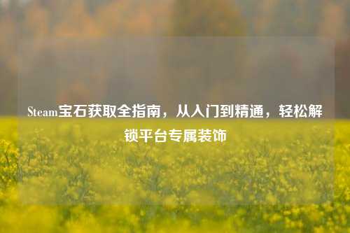 Steam宝石获取全指南,从入门到精通,轻松解锁平台专属装饰