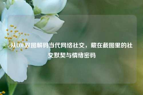 从LOL双图解码当代网络社交，藏在截图里的社交默契与情绪密码