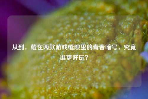 从到,藏在两款游戏缝隙里的青春暗号,究竟谁更好玩?