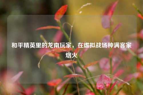和平精英里的龙南玩家,在虚拟战场种满客家烟火