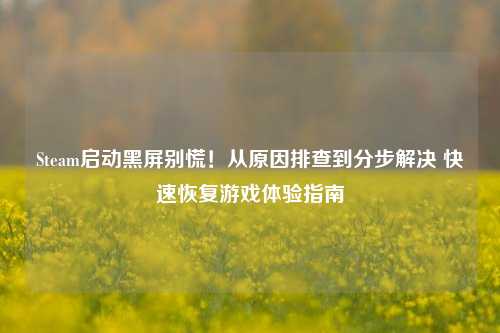 Steam启动黑屏别慌!从原因排查到分步解决 快速恢复游戏体验指南