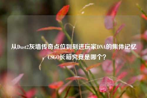 从Dust2灰墙传奇点位到刻进玩家DNA的集体记忆，CSGO长箱究竟是哪个？