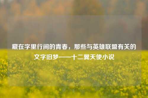 藏在字里行间的青春,那些与英雄联盟有关的文字旧梦——十二翼天使小说