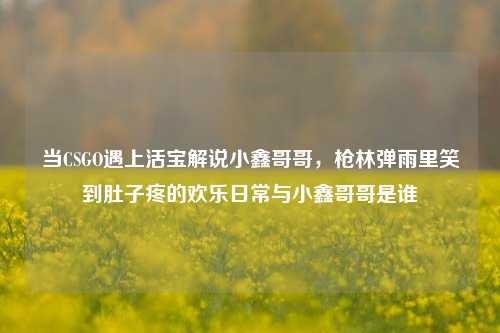 当CSGO遇上活宝解说小鑫哥哥,枪林弹雨里笑到肚子疼的欢乐日常与小鑫哥哥是谁
