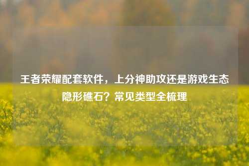 王者荣耀配套软件,上分神助攻还是游戏生态隐形礁石?常见类型全梳理