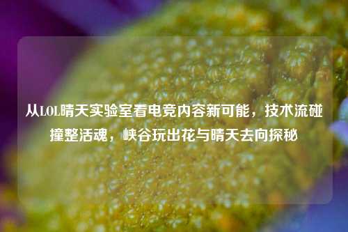 从LOL晴天实验室看电竞内容新可能,技术流碰撞整活魂,峡谷玩出花与晴天去向探秘