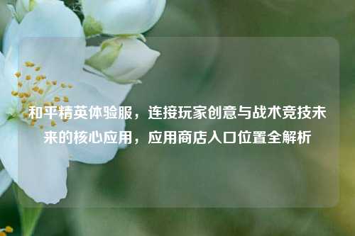 和平精英体验服,连接玩家创意与战术竞技未来的核心应用,应用商店入口位置全解析