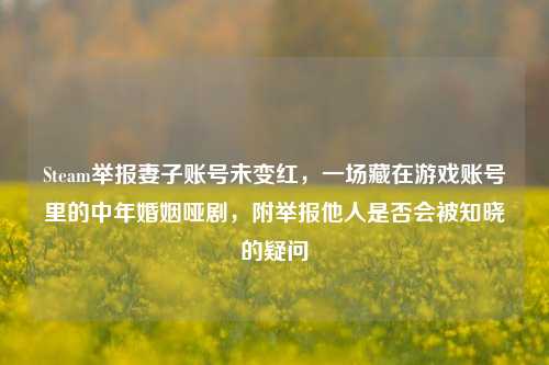 Steam举报妻子账号未变红,一场藏在游戏账号里的中年婚姻哑剧,附举报他人是否会被知晓的疑问