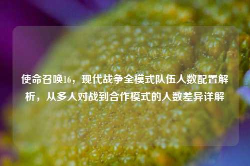 使命召唤16,现代战争全模式队伍人数配置解析,从多人对战到合作模式的人数差异详解