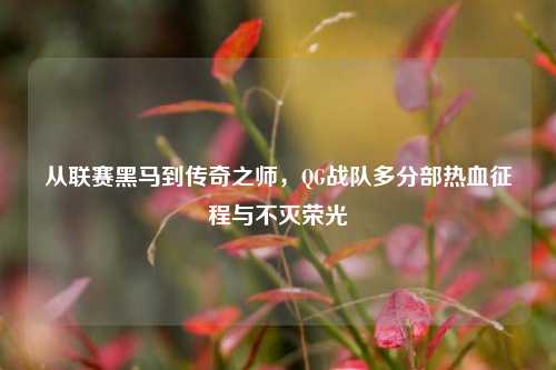 从联赛黑马到传奇之师,QG战队多分部热血征程与不灭荣光
