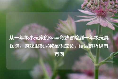 从一年级小玩家的Steam奇妙冒险到一年级玩具医院，游戏里搭房数星悟成长，读后感巧思有方向