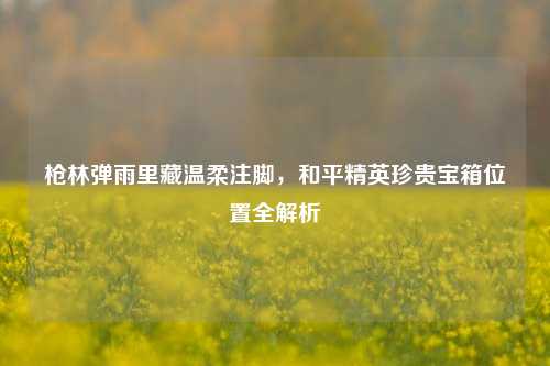 枪林弹雨里藏温柔注脚，和平精英珍贵宝箱位置全解析