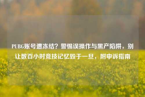 PUBG账号遭冻结?警惕误操作与黑产陷阱,别让数百小时竞技记忆毁于一旦,附申诉指南