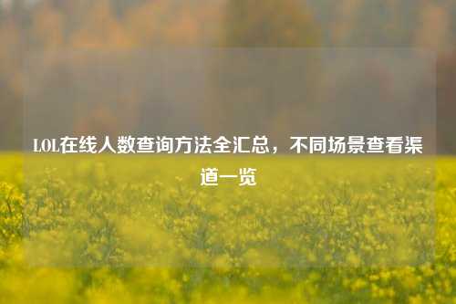 LOL在线人数查询方法全汇总，不同场景查看渠道一览