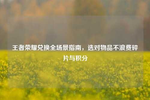 王者荣耀兑换全场景指南,选对物品不浪费碎片与积分