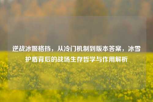 逆战冰姬格挡,从冷门机制到版本答案,冰雪护盾背后的战场生存哲学与作用解析