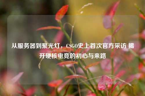 从服务器到聚光灯，CSGO史上首次官方采访 揭开硬核电竞的初心与来路