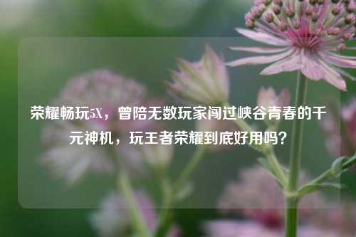 荣耀畅玩5X，曾陪无数玩家闯过峡谷青春的千元神机，玩王者荣耀到底好用吗？