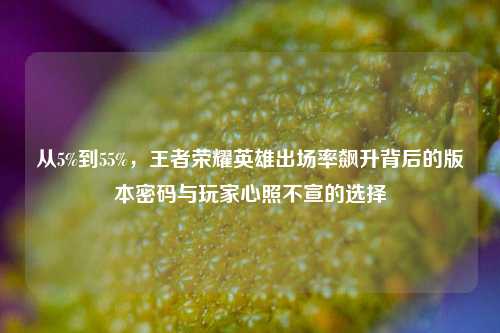 从5%到55%,王者荣耀英雄出场率飙升背后的版本密码与玩家心照不宣的选择
