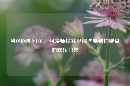 当OMD遇上LOL，召唤师峡谷里那些笑到拍键盘的欢乐日常