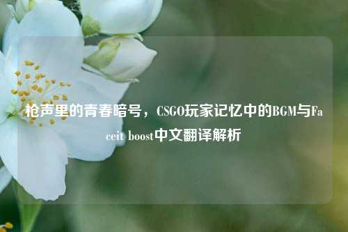 枪声里的青春暗号,CSGO玩家记忆中的BGM与Faceit boost中文翻译解析