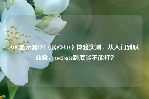 AOC显示器CS2(原CSGO)体验实测,从入门到职业级,aoc25g3z到底能不能打?
