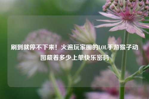 刷到就停不下来!火遍玩家圈的LOL手游猴子动图藏着多少上单快乐密码